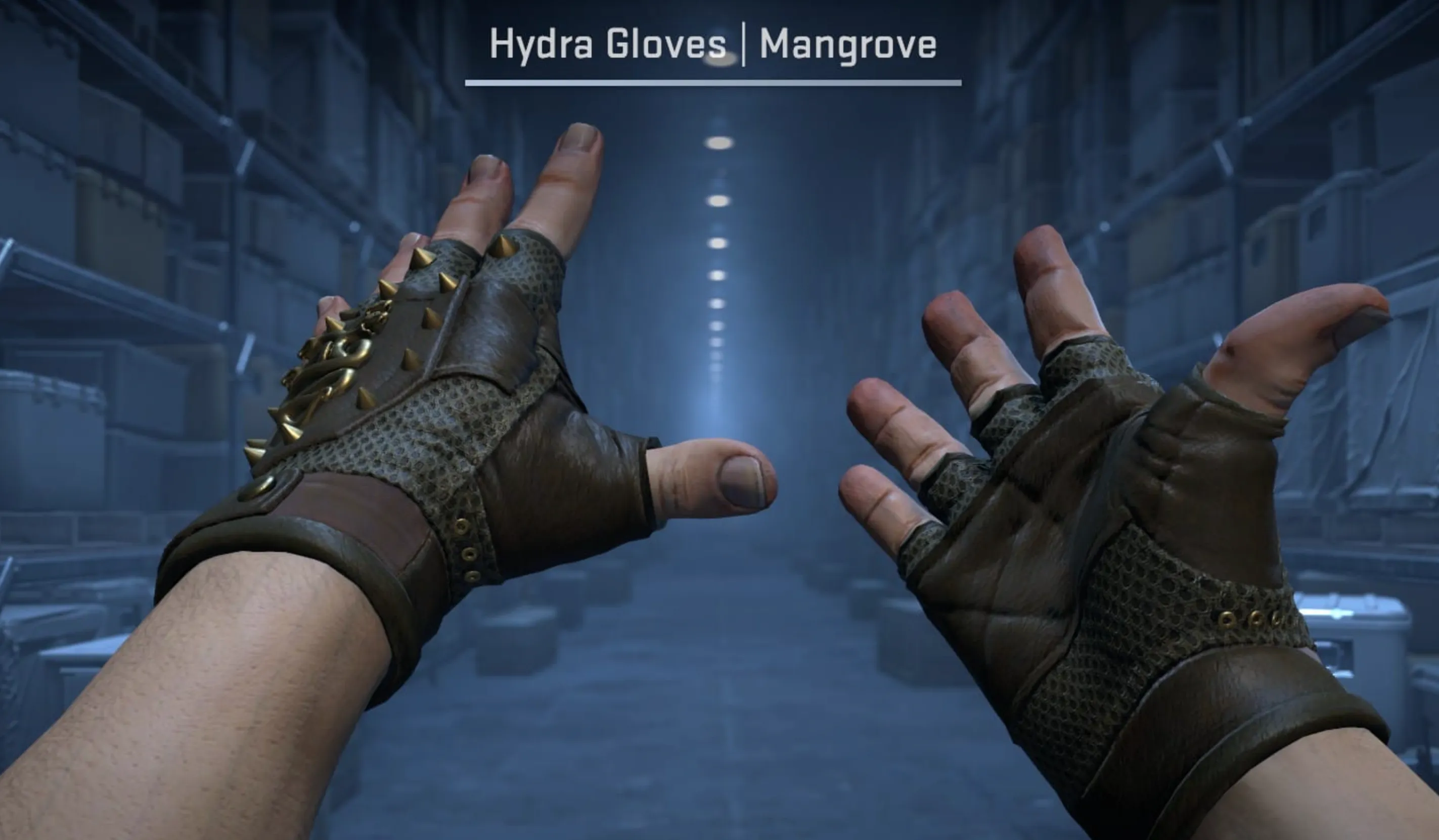 Hydra Gloves Mangrove